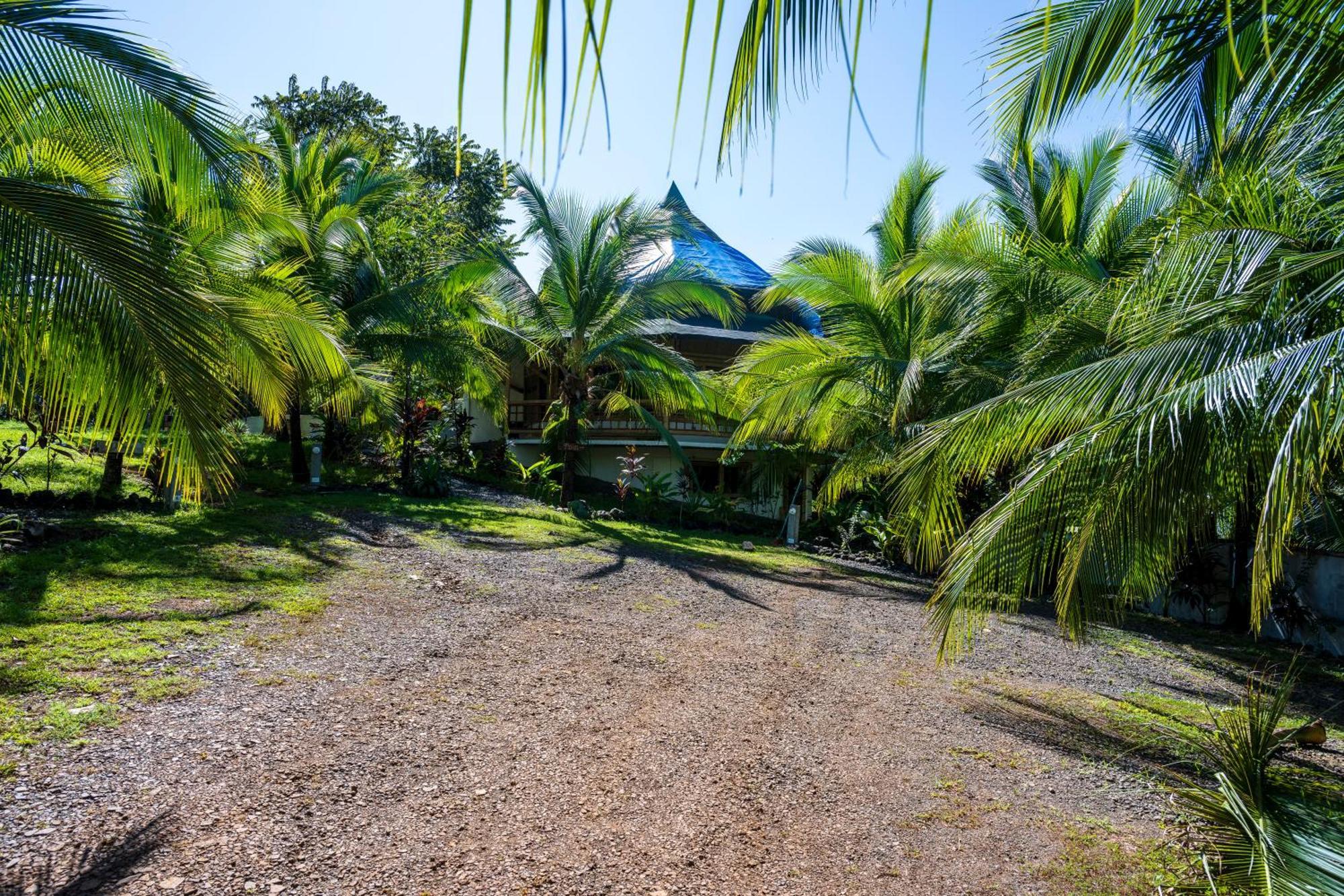 Eco-Lodge Deseo Bamboo Santa Catalina Exterior photo