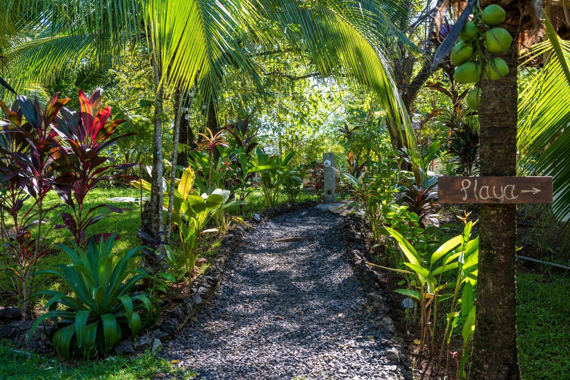 Eco-Lodge Deseo Bamboo Santa Catalina Exterior photo