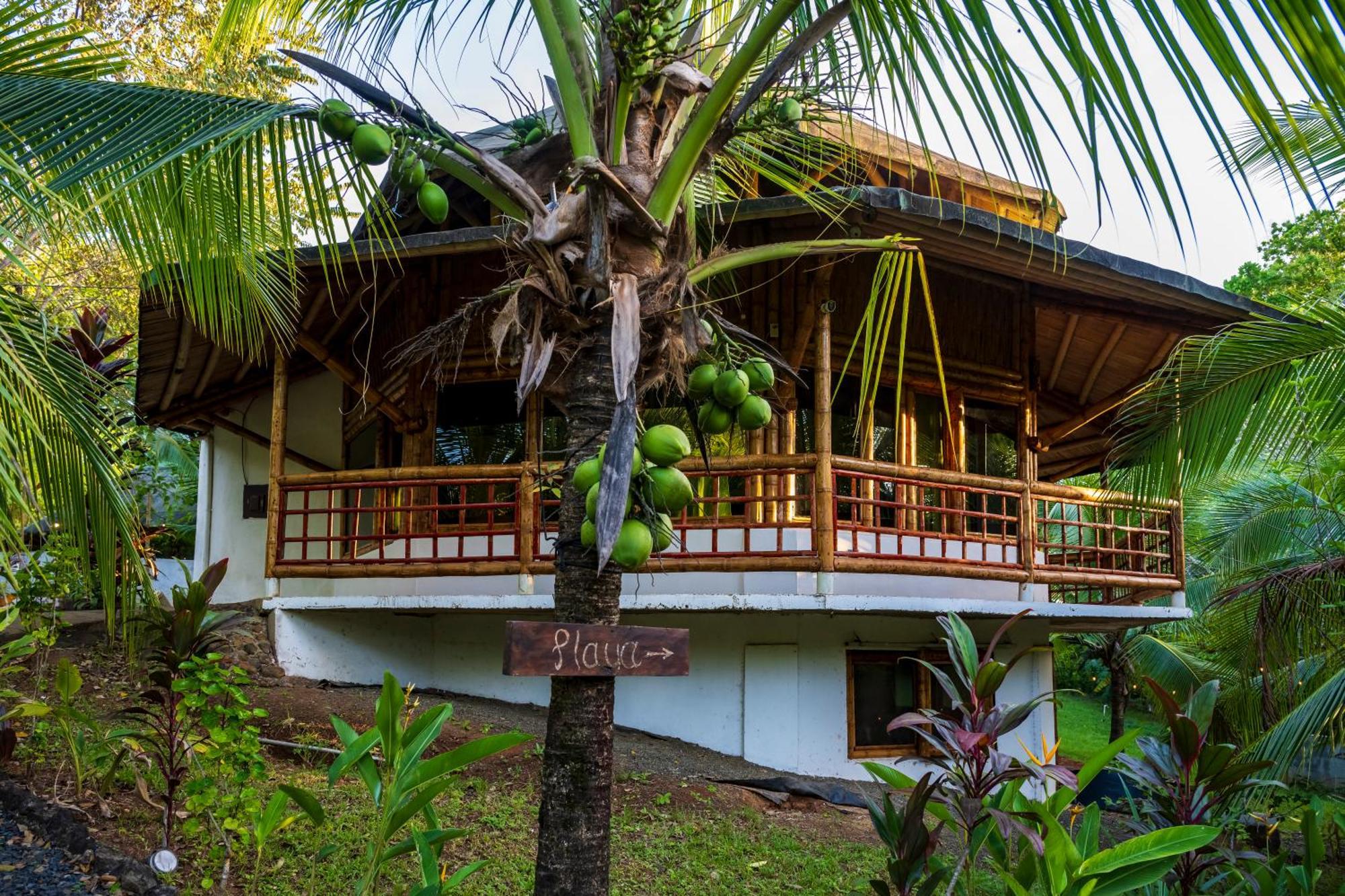 Eco-Lodge Deseo Bamboo Santa Catalina Exterior photo