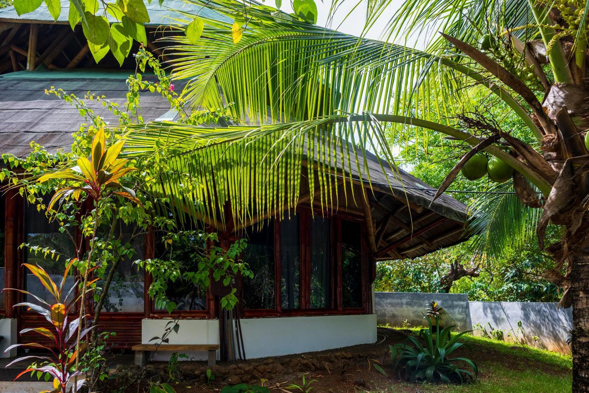 Eco-Lodge Deseo Bamboo Santa Catalina Exterior photo